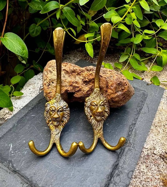 2 appendiabiti a forma di leone in ottone massiccio Art Nouveau – Brass (photo 6 of 6)