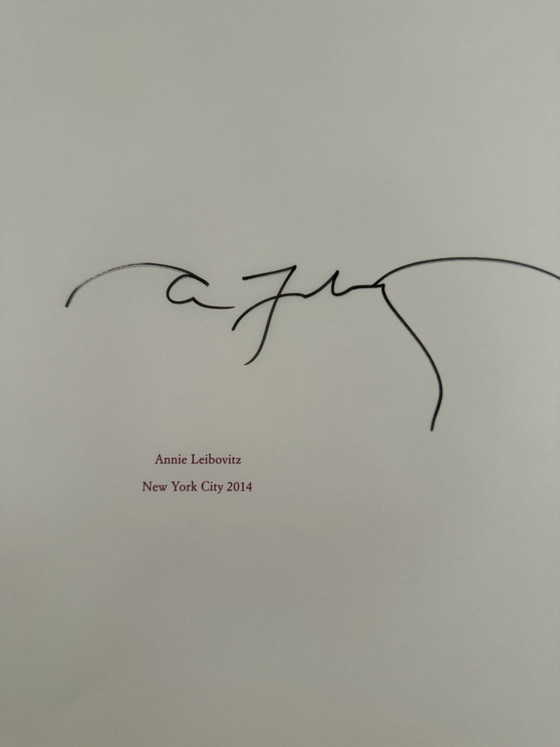 Annie Leibovitz XXL Limited, Coffee table books, Paper, Green (photo 6 of 10)
