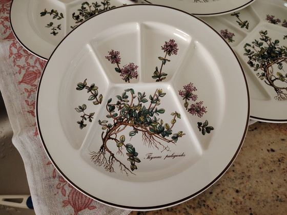 Image 1 of Villeroy and Boch V&B Botanica grill plate antipasti fondue starter plate 6 pieces