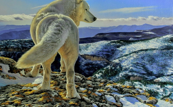 Original Oil Painting Animal Northern Wolf Breath of the Mountains – Paintings & Drawings, Canvas (photo 5 of 6)