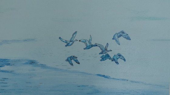 Image 1 of Galerie „Der Traumflug“ Suncorner