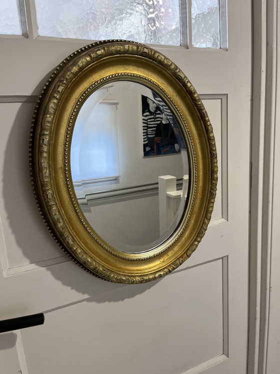 Image 1 of Spiegone ovale