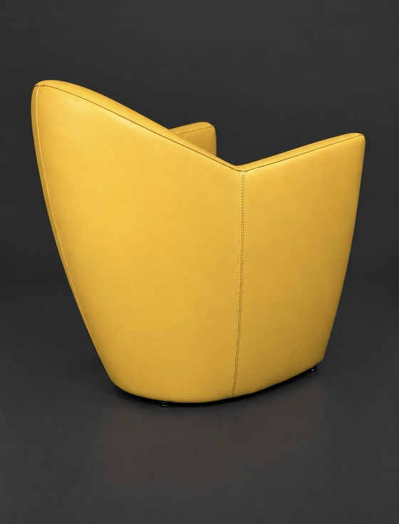 Leolux Carabita Armchair Yellow Leather (photo 3 of 5)