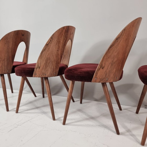 Image 1 of Chaises vintage d'Antonin Suman, années 1960, lot de 4