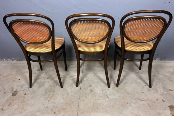 Thonet 215r 6 chairs classic design – Dining chairs, Wood, Rattan (photo 15 of 15)