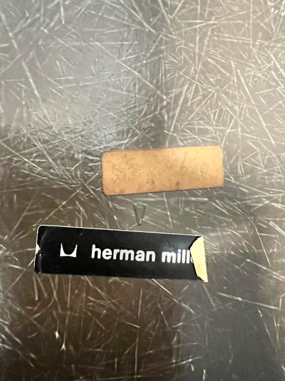 4 sillones originales Herman Miller Eames DAR de fibra de vidrio – Sillas de comedor, Fiberglass (photo 8 of 11)