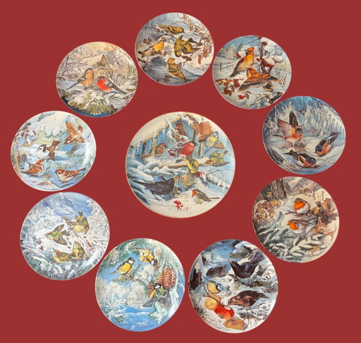 🐦 « Oiseaux en hiver » | Assiettes de collection en porcelaine peintes à la main | Hutschenreuther | Édition limitée | État neuf