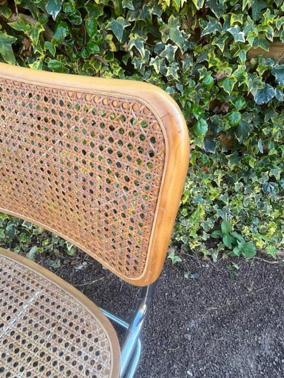 Image 1 of sedia in canna