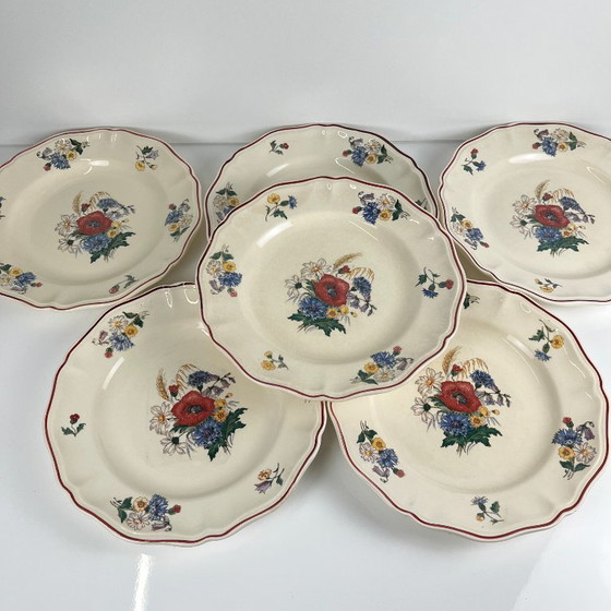 Set of 6 flat / semi-deep plates "Agreste" Sarreguemines, 20th century – Crockery, Ceramic (photo 6 of 10)