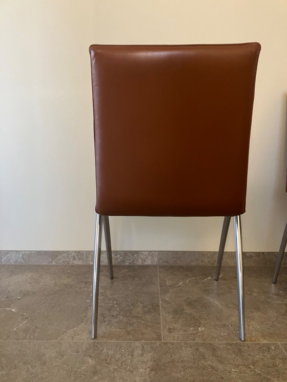 Four dining chairs in brown leather and metal, Leolux, Modern (photo 4 of 8)