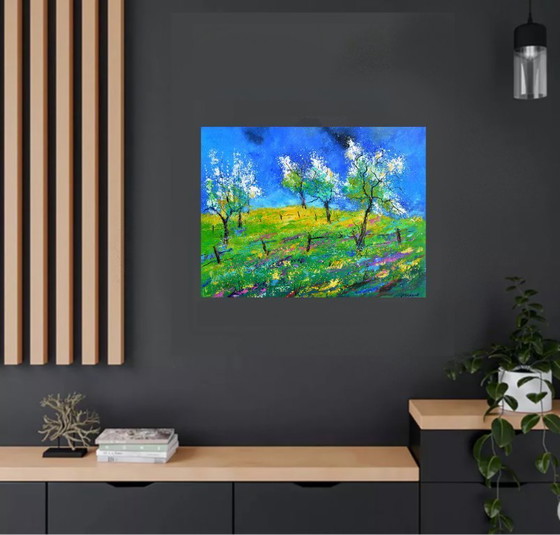 Image 1 of Frutteto in primavera