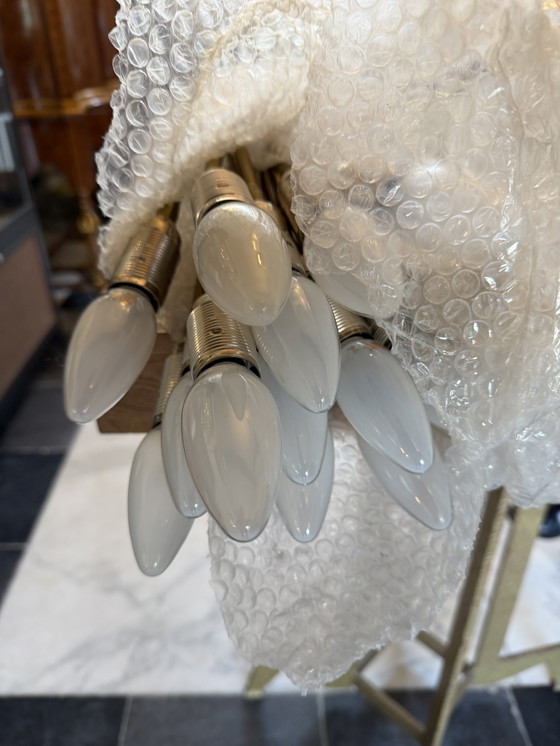 Image 1 of Cattelani & smith | turcio 16