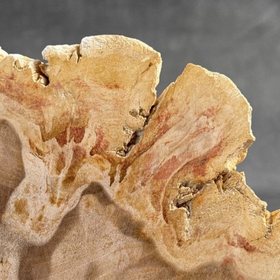 Image 1 of Madera fosilizada de Sooka, soporte hecho a medida (nuevo)