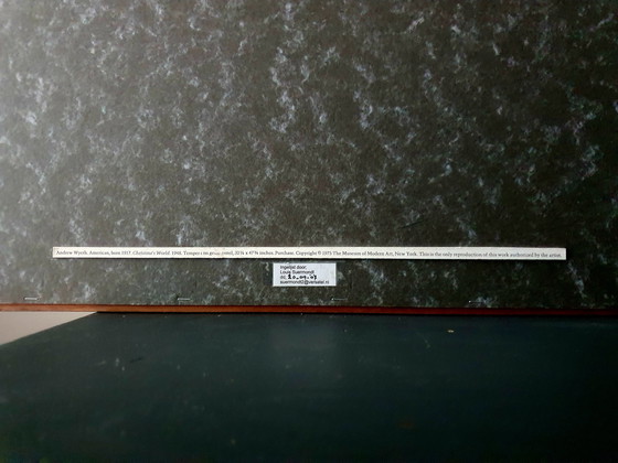 Image 1 of "Christina's World" di Andrew Wyeth, 1948