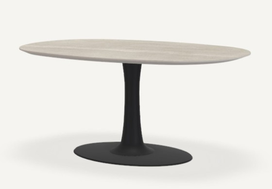 Image 1 of DISEÑO Mesa de comedor Leolux Columna