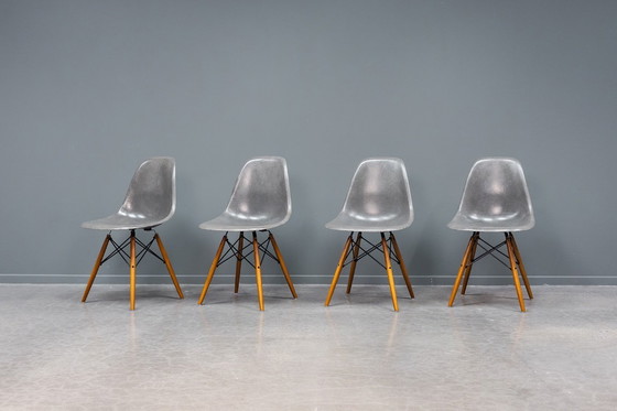 Image 1 of Sedie Eames DSW Elephant in fibra di vetro grigia, 6x