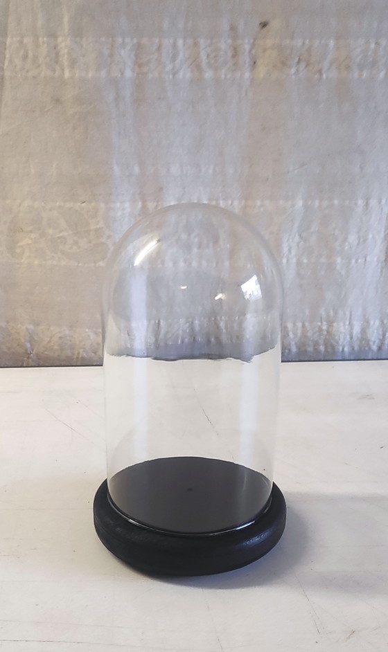 Image 1 of Globe en verre et socle en bois noir - mid. XXeme 