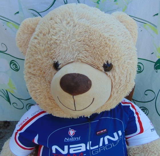 Image 1 of Plüschbär, Marke: Pluchiez mit CE-Kennzeichnung