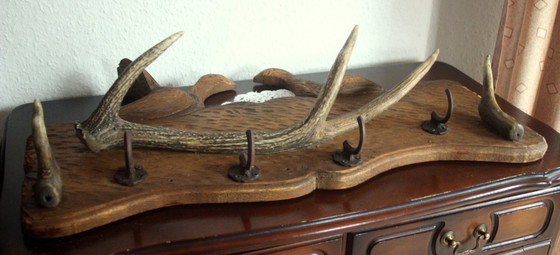 Image 1 of Eccezionale armadio in legno con corna e 4 ganci in metallo