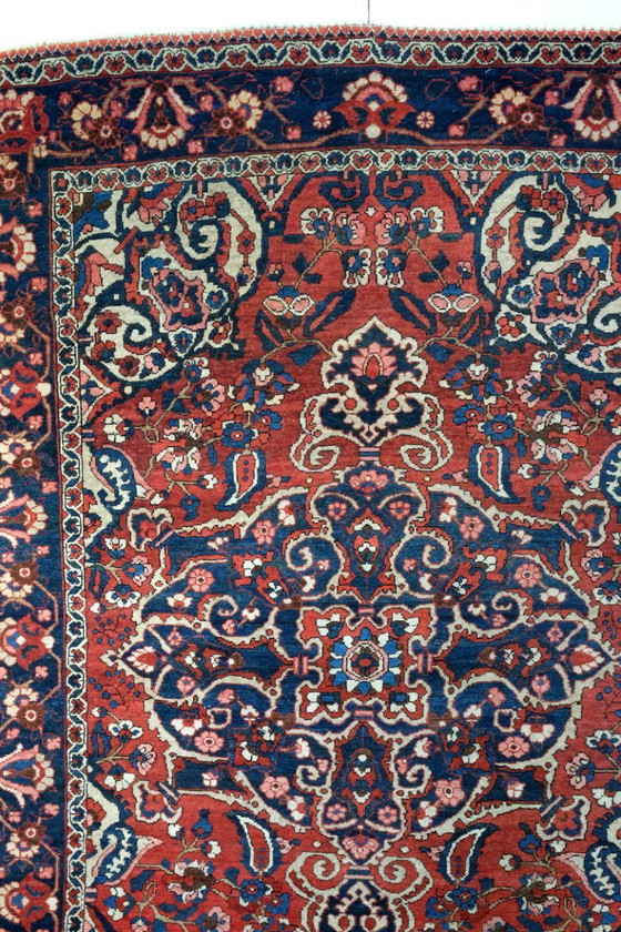 Image 1 of Beautiful Bachtiar from Iran