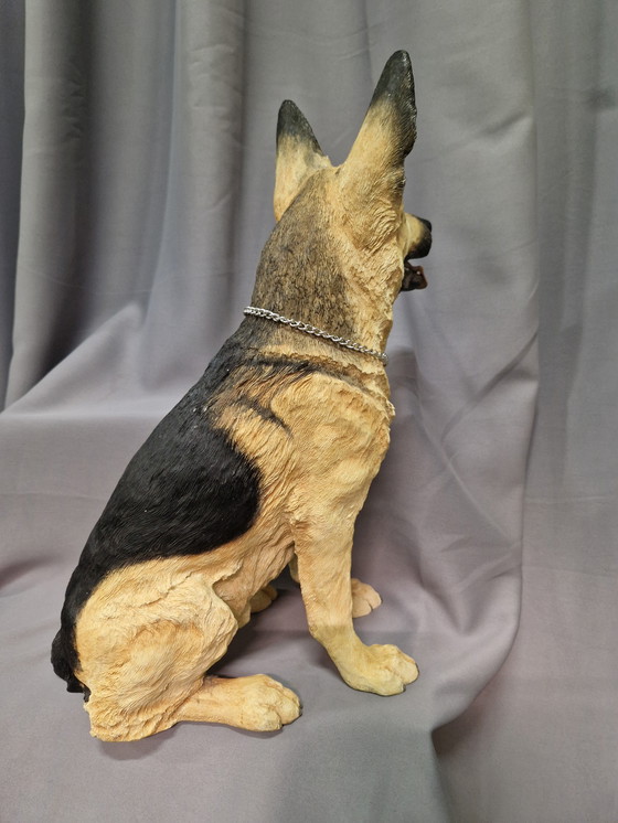 Image 1 of Cane da pastore del focolare