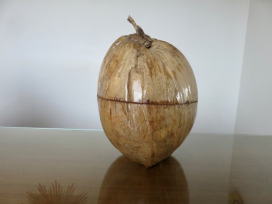 Image 1 of Large ice bucket, ice cube tray, 1970s. Vintage coconut ice bucket