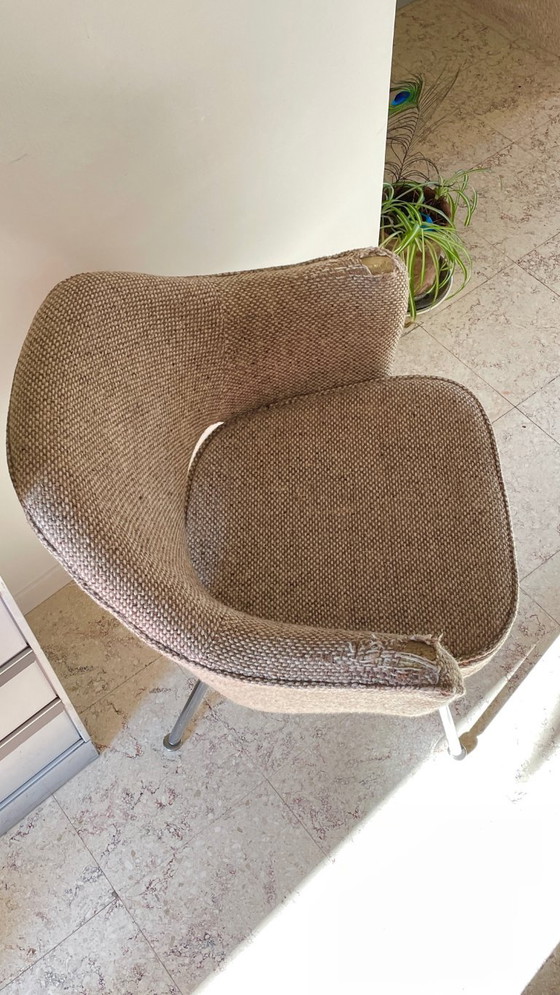 Sillón KNOLL Años 70 – Sillas auxiliares, Lana, Metal (photo 15 of 27)