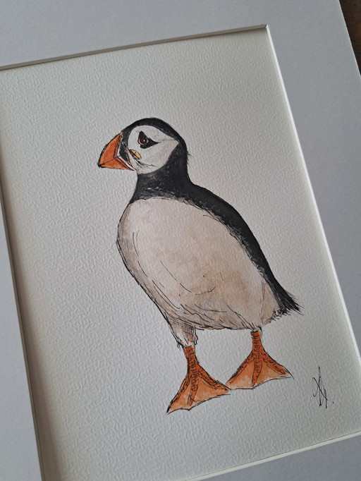 Watercolor painting puffin, original in frame