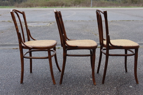 Image 1 of Sedie da bistrot serie x6 n. 56 di Thonet