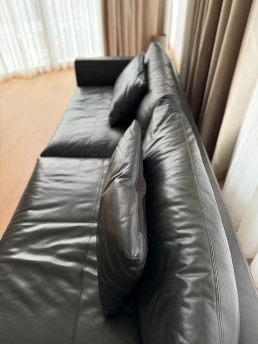 Montis Axel XL 5 zits