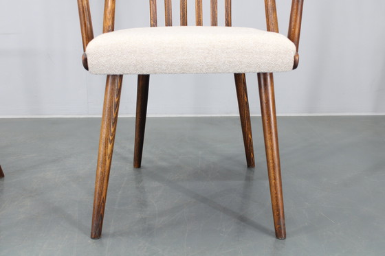 Image 1 of 1960 Antonin Suman Ensemble de six chaises de salle à manger en hêtre, restaurées