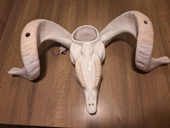 Image 1 of Bellissimo teschio di ariete in ceramica