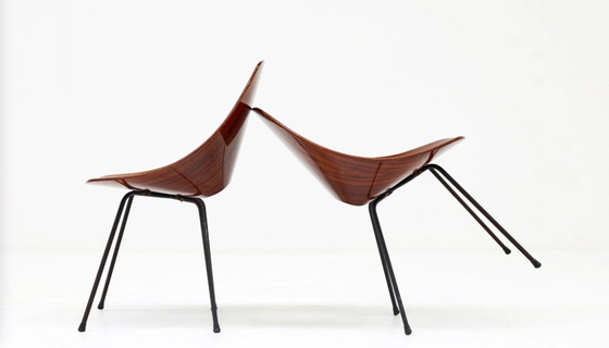 Image 1 of Sedie Medea di Vittorio Nobili per Tagliabue, anni '50