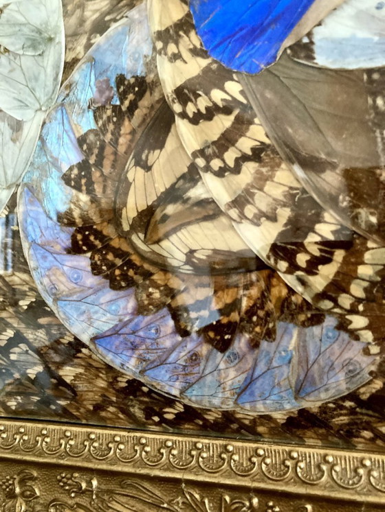 Image 1 of Composizione astratta incorniciata a forma di ali di farfalla