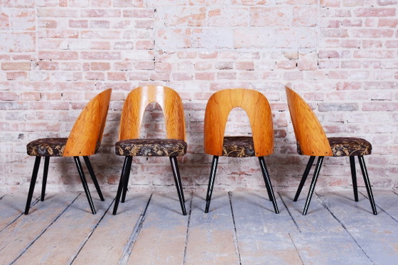 Set of Four Restored Mid-Century Chairs, Beech, Oak, Slovakia, 1950-1959 – Tatra Nábytok, Dining chairs (photo 8 of 11)