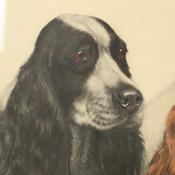 Image 1 of Large Color Lithograph Leon Danchin