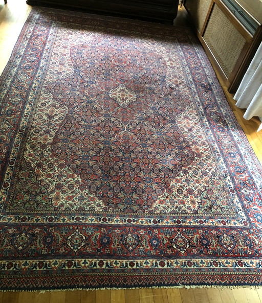 Saruk Persian rug 325X210