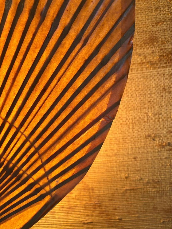 Image 1 of Uchiwa II - Ingo Maurer (M Design) Wandlampe