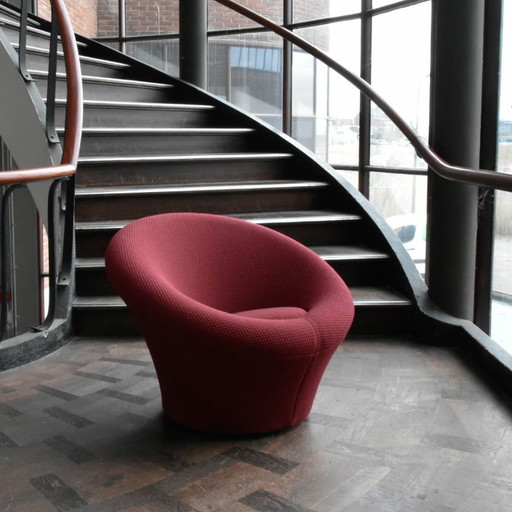 Artifort Mushroom Fauteuil