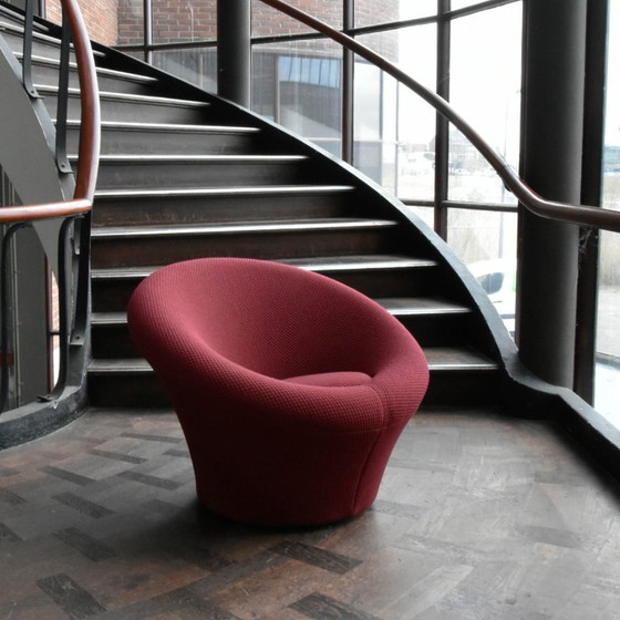 Image 1 of Poltrona Artifort Mushroom