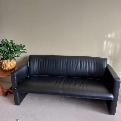 Leolux Fiabo Sofa. 1 oder 2 Stück