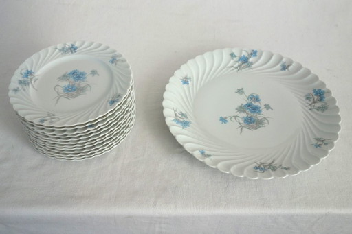 12-delig dessertservies "Bergère", Haviland Limoges
