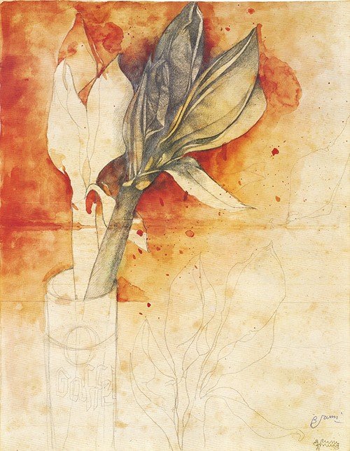 Bruno Bruni---Amaryllis --Hand-signed