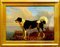 Dog - Oil on Canvas by Filippo Palizzi - Second Half of 19th Century – Paintings & Drawings, Wood (photo 3 of 4)