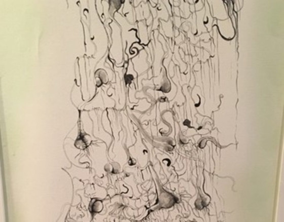 Image 1 of Ozma Bhatti Non marmoreo