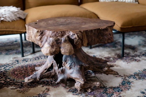 Mesa de centro única hecha de un tronco de árbol macizo. – salontafels, Wood