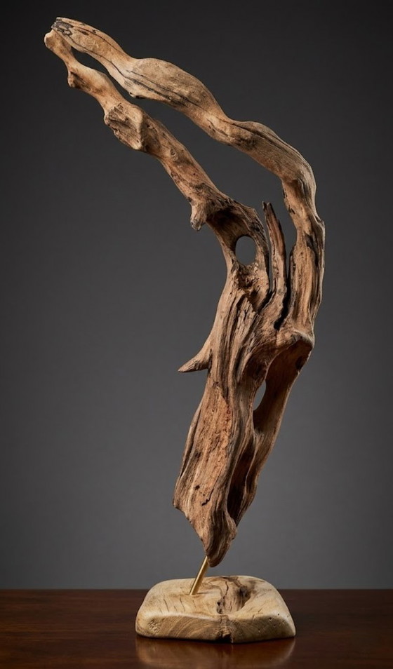 Sculture in legno organico chiamata "Alma del viento", Marrone, Organic Modern (foto 5 di 6)