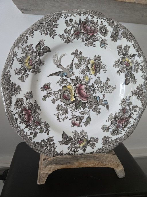 Assiette plate 6 pièces Wedgwood Oriental Pheasants colour