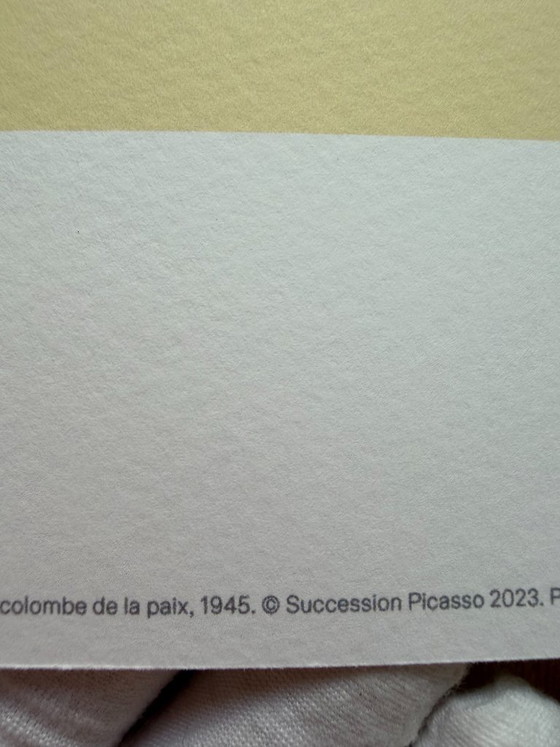Image 1 of Pablo Picasso (1881-1973), La Colombe De La Paix, 1945, Copyright Picasso 2023, impreso en el Reino Unido