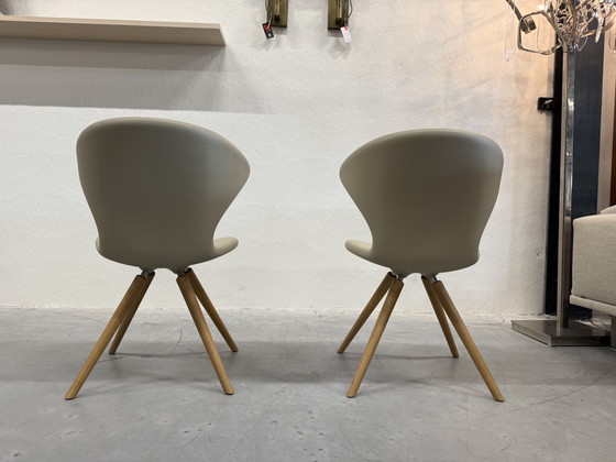 Image 1 of 2 Tonon Concept 902 11 Sedie Soft Touch